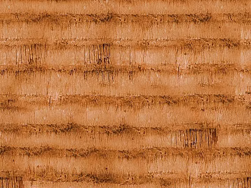 palm bark texture (ID:ffach175761)