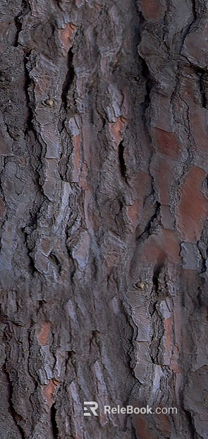 bark texture