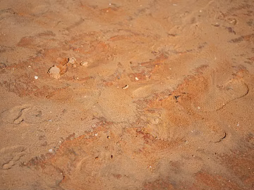 Sand 3d model