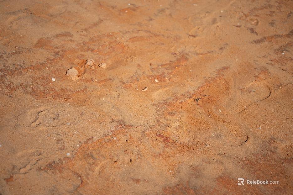 Sand texture