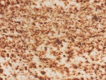Rusty metal texture (ID:ffaef6548)