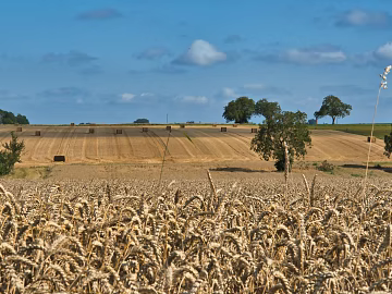 Nature Exterior Country Exterior Window Exterior Outdoor Landscape Exterior texture (ID:ffach712735)