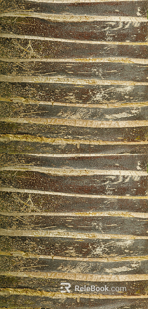 bark texture
