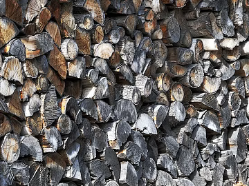 Trunk section texture (ID:ffabg85840)