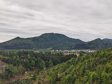 Wild Scenery texture (ID:ffajg72374)