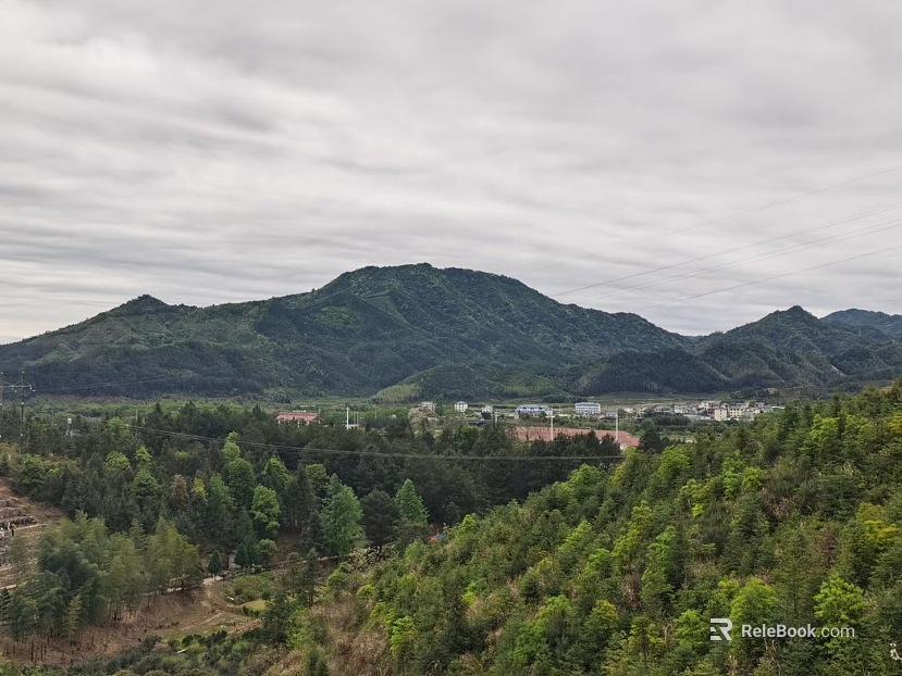 Wild Scenery texture