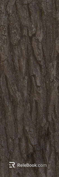 bark texture