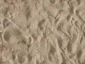 Beach 3d model