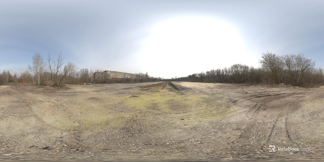 Outdoor Country Bitter Forest Daytime HDR texture