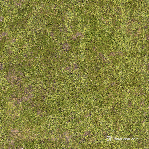 moss texture