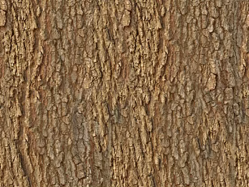 bark texture (ID:ffajf0420)