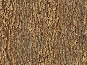 bark texture (ID:ffajf0420)