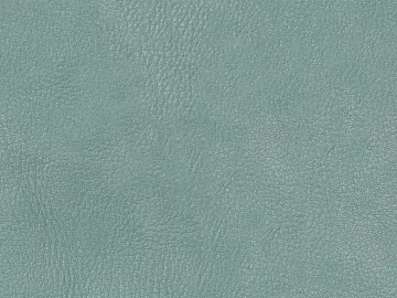 Coarse-grain leather texture (ID:ffaeg63233)