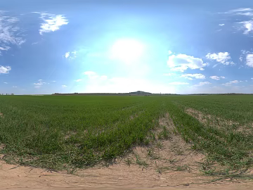wild hdri texture (ID:ffabg94981)