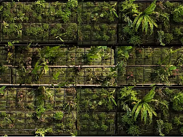 Exterior texture (ID:ffajf4033)