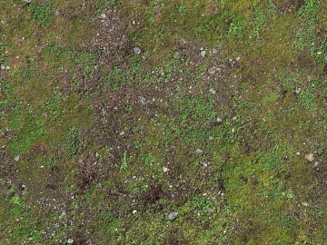 Turf texture (ID:ffacg37302)