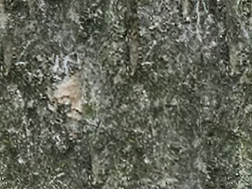 bark texture (ID:ffaeg65918)