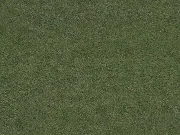Turf texture (ID:ffabg26870)