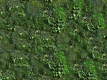 Plants texture (ID:ffaag98059)