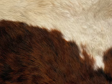 Animal Blanket texture (ID:ffagg33218)