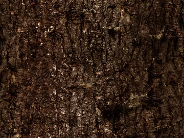 Dark brown tree bark natural texture material (ID:ffaeh274289)