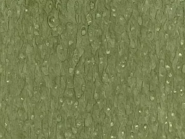 Light olive green ball shadow wood veneer texture (ID:ffaeh644054)