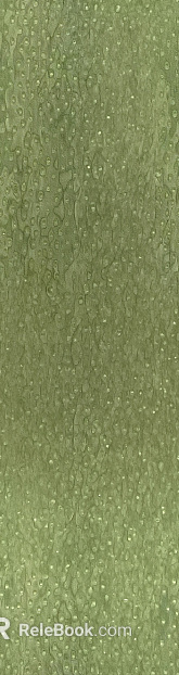 Light olive green ball shadow wood veneer texture