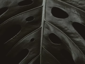 leaves texture (ID:ffagg19098)