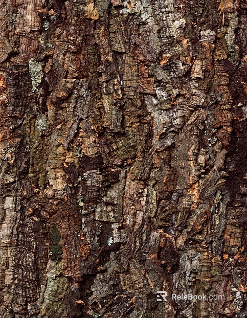 bark texture