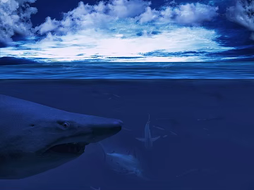 Sea texture (ID:ffaag76692)