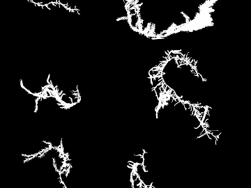 White Branches Black and White Bump Map texture (ID:ffaeh720832)