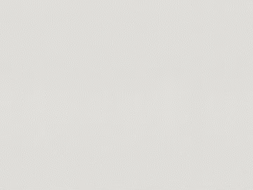 fine grain leather texture (ID:ffagg30258)