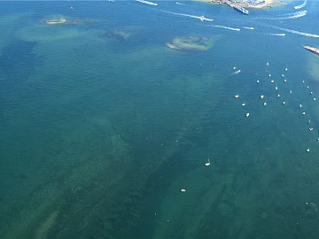 Wild Scenery texture (ID:ffajg55023)