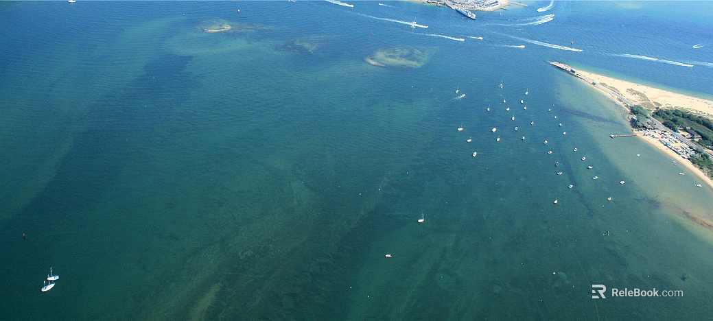 Wild Scenery texture