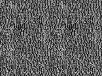 bark texture (ID:ffacf2937)