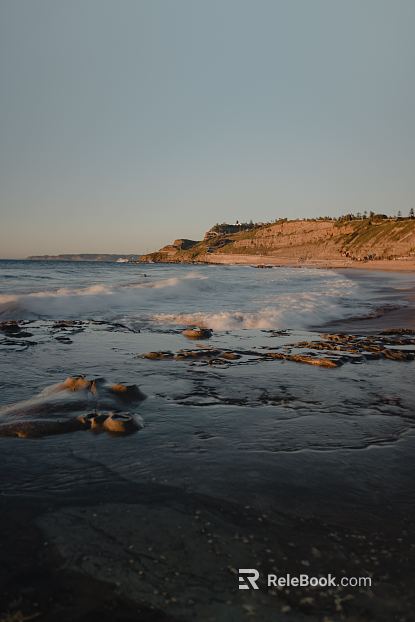 Wild Scenery texture