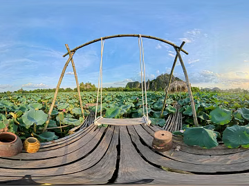 Outdoor Lotus HDR texture (ID:ffach699478)
