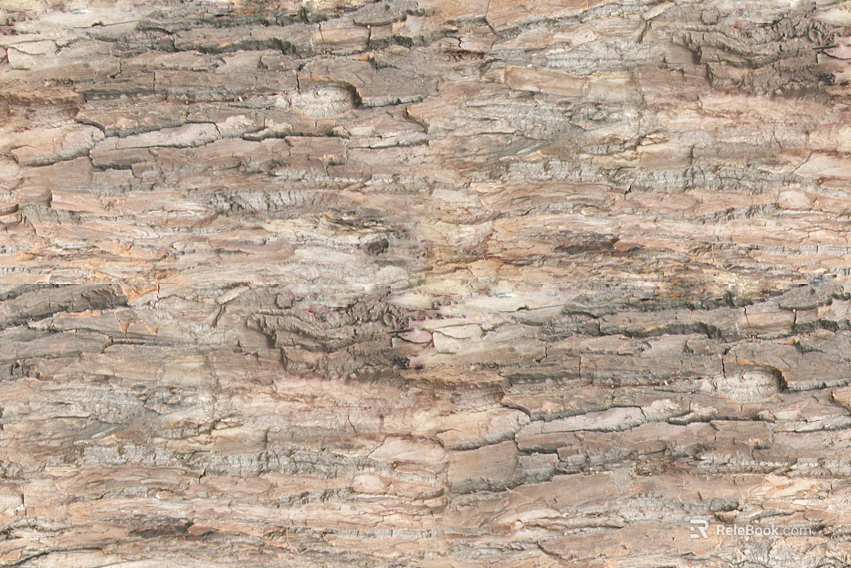 bark texture
