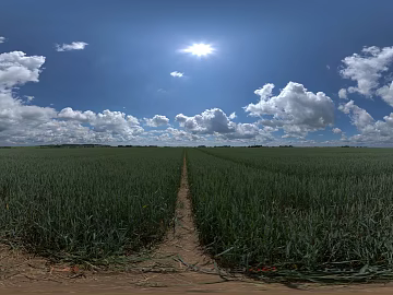 wild hdri texture (ID:ffabg90981)