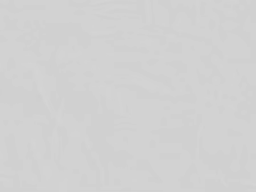 Plain Wallpaper texture (ID:ffaeg10194)