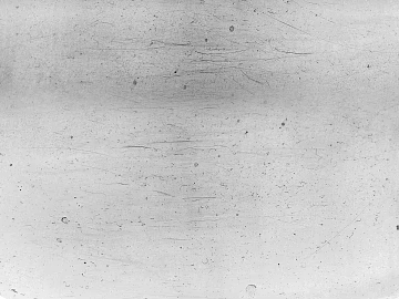 Black and White Bump texture (ID:ffaeg23126)