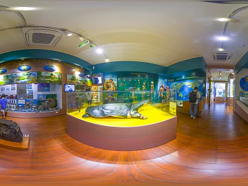 Indoor Venue Exhibition HDR texture (ID:ffach288278)