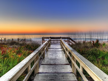 Wild Scenery texture (ID:ffagg00237)