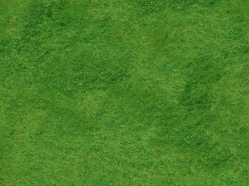 Outdoor lawn, grassland, natural ground 3d model