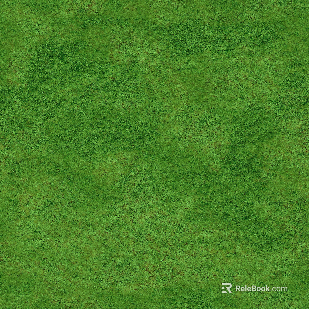 Outdoor lawn, grassland, natural ground texture