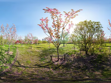 HDR ecological greening garden panorama texture (ID:ffach593103)