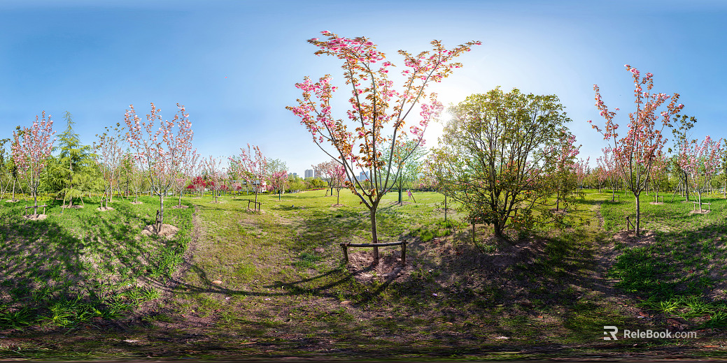 HDR ecological greening garden panorama texture