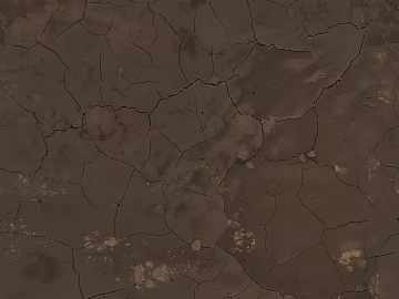 Mud texture (ID:ffach008014)