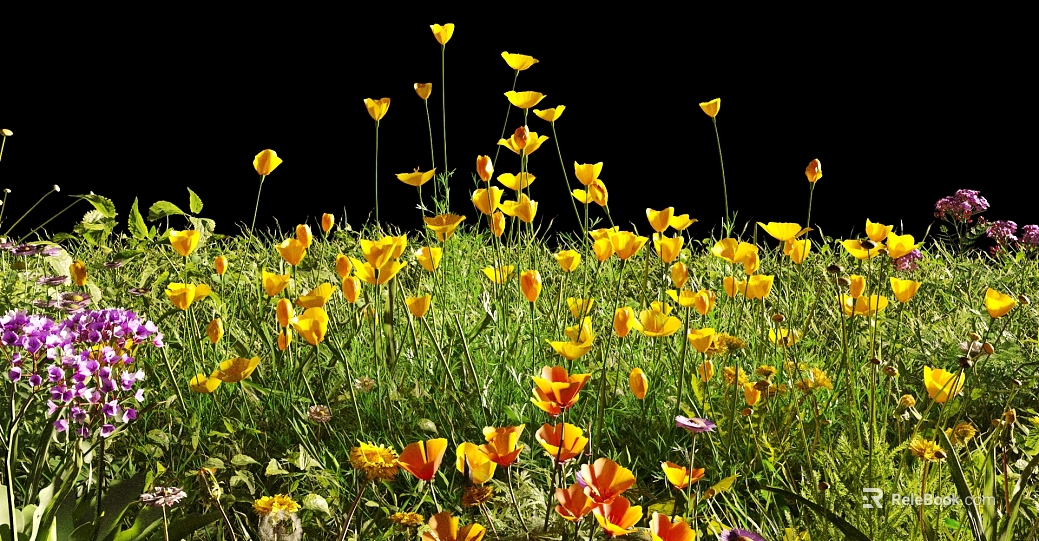 Yellow purple wild flower natural plant decoration texture