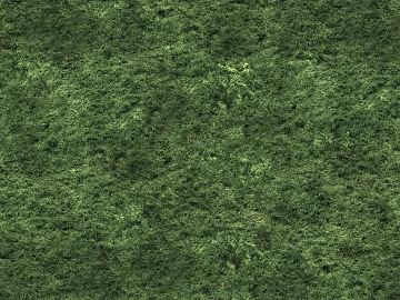 Lawn Sod Grass texture (ID:ffaeh864621)